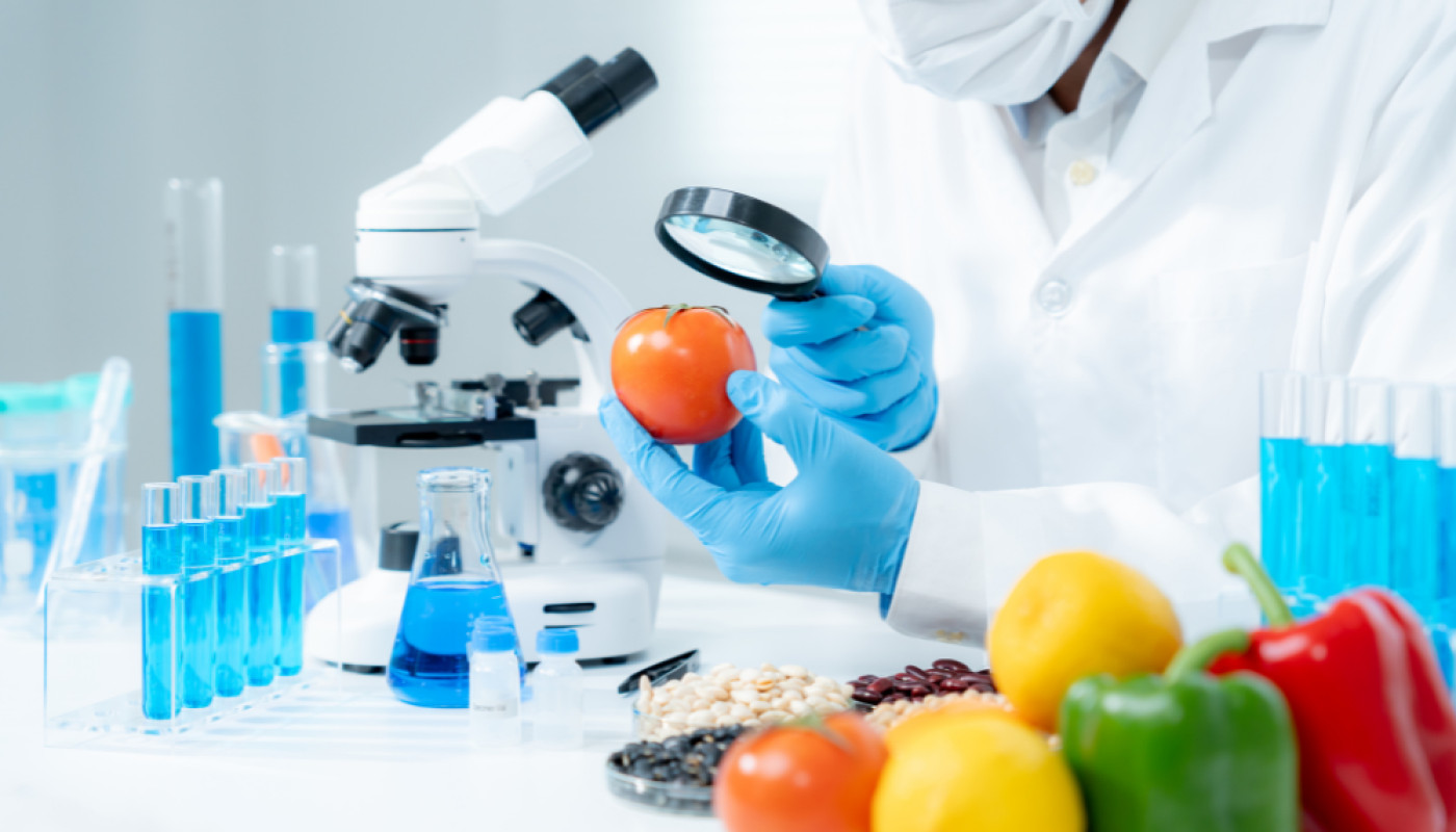 SSA Pro : pour une formation HACCP sur-mesure, dans vos locaux !